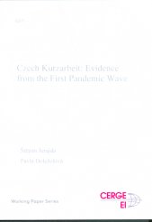 Czech kurzarbeit: evidence from the first pandemic wave