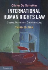 International human rights law :cases, materials, commentary