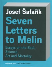 Seven letters to Melin :essays on the soul, science, art and mortality